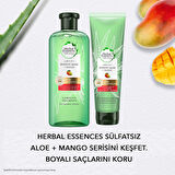 Aloe Gücü + Mango 275 Ml Saç Bakım Kremi